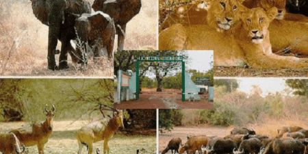 Victoire diplomatique et culturelle : le Niokolo-Koba retiré de la liste du Patrimoine mondial en péril