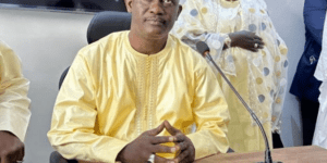 Sortie médiatique du Dr Cheikh Dieng ou les derniers soubresauts d&rsquo;un système agonisant  Par Pr Amadou Sow