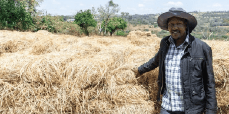 Histoire de la FAO, source de motivation : Ils prennent en main leurs pâturages