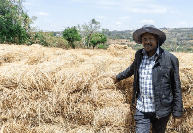 Histoire de la FAO, source de motivation : Ils prennent en main leurs pâturages