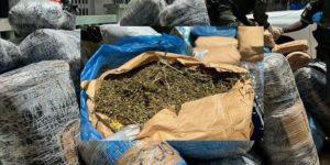 Trafic transfrontalier : la BRS met la main sur 55 kg de chanvre indien dans les champs salins à Ngathie Naoudé