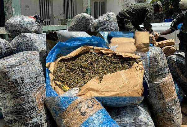 Trafic de drogue : Un individu interpellé avec 6 kg de chanvre indien à Khaïra par les éléments du commissariat spécial de Touba.