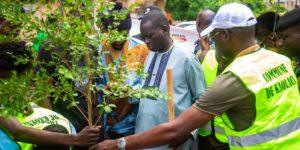 Journée Nationale de l&rsquo;arbre : La mairie de Kaolack compte planter 50 000 arbres