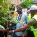 Journée Nationale de l’arbre : La mairie de Kaolack compte planter 50 000 arbres