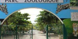 Parc zoologique de Hann : Guy Marius Sagna alerte sur des difficultés financières et réclame une hausse urgente du budget alimentaire des animaux