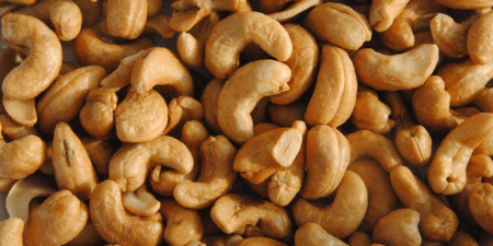 Un volet économique en baisse : 2024, année difficile au Sénégal pour la transformation de cajou