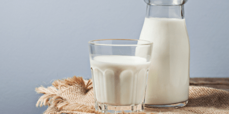 Sommet mondial du lait : Le Sénégal rejoint la Fédération internationale du lait