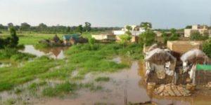 Montée des eaux à Podor : inquiétudes croissantes autour du fleuve Sénégal