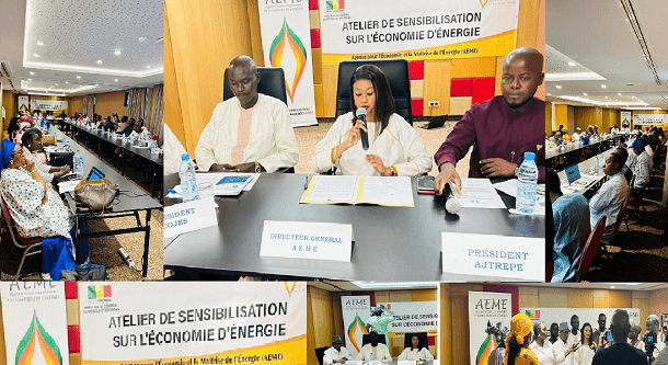 Méthodes d’une bonne maîtrise de l’énergie : L’AEME et le COJES renforcent leur partenariat pour mieux informer sur leurs efficacités