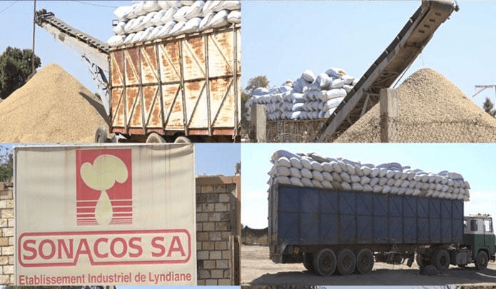 Secteur industriel : La SONACOS annonce la relance imminente de l’usine de Lyndiane
