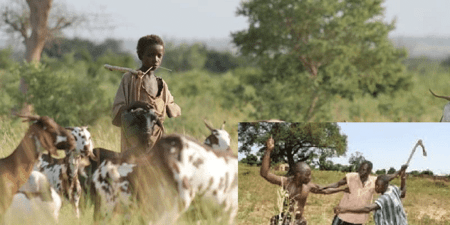 Boutoupa Camaracounda : Des concertations communautaires pour résoudre les conflits fonciers et pastoraux