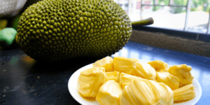 Histoire de la FAO, source de motivation : le jaque, un fruit aux multiples atouts