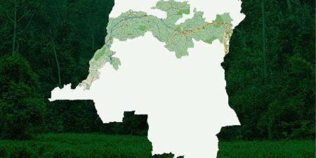 Projet du corridor vert en RDC : Greenpeace Afrique accueille avec prudence la « plus grande réserve forestière du monde » et appelle à une approche inclusive