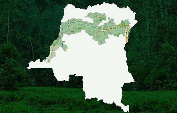 Projet du corridor vert en RDC : Greenpeace Afrique accueille avec prudence la « plus grande réserve forestière du monde » et appelle à une approche inclusive