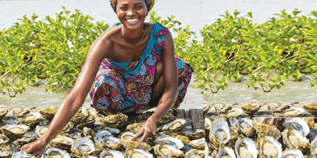 Le centre d’interprétation de Toubacouta, abrite ce vendredi 21 février 2025, la cérémonie de lancement officiel du projet « Femmes et Coquillages ».