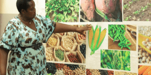 Histoire de la FAO-Source de motivation : Les bienfaits de la biodiversité