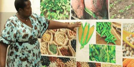 Histoire de la FAO-Source de motivation : Les bienfaits de la biodiversité