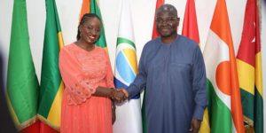 Secteur des paiements mobiles : La Directrice Régionale UEMOA de Wave reçue par le Président de la Commission