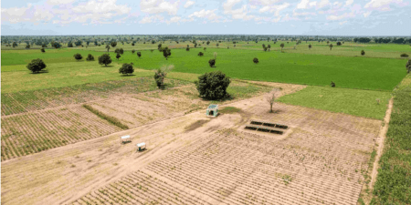 Sénégal : Un financement de 50 fermes modernes de 20 hectares dédiées aux coopératives agricoles communautaires (CAC)