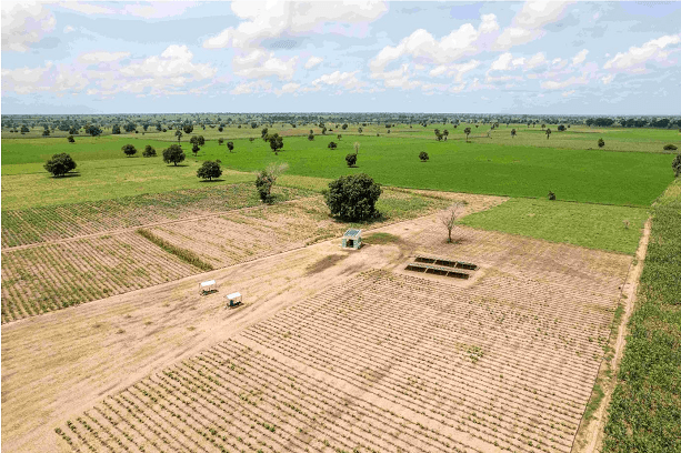 Sénégal : Un financement de 50 fermes modernes de 20 hectares dédiées aux coopératives agricoles communautaires (CAC)