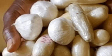 Opération de contrôle à Ziguinchor : Un individu arrêté avec 26 boulettes de cocaïne