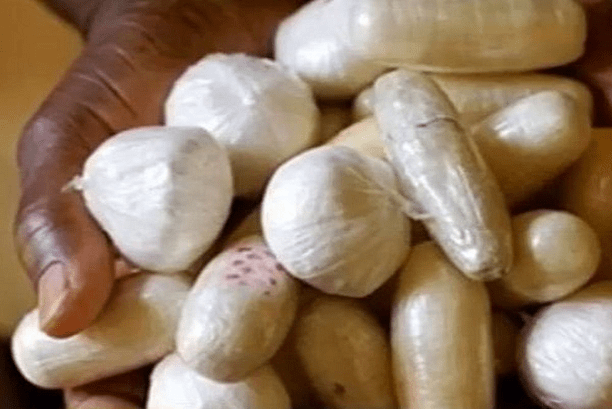 Opération de contrôle à Ziguinchor : Un individu arrêté avec 26 boulettes de cocaïne