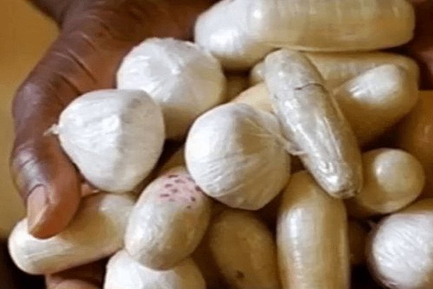 Opération de contrôle à Ziguinchor : Un individu arrêté avec 26 boulettes de cocaïne