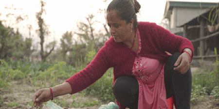 Histoire de la FAO source de motivation : Transformer un risque d’incendie en une mine d’or vert