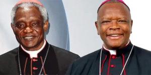 Succession de Pape François : Les chances des prétendants africains au trône de Saint Pierre
