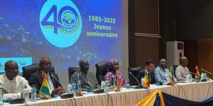 Coopération régionale pour une pêche durable : 40 ans de gouvernance partagée pour la préservation des ressources marines ouest-africaines