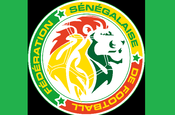 Football-M. le Président, Mme la Ministre : allons-nous sacrifier une qualification au Mondial et 5 milliards de FCFA pour une élection en août ? (Boubacar Kambel Dieng)