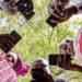 Agriculture-innovation :Le Sénégal teste le numérique pour la distribution des intrants agricoles subventionnés