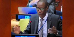 Guinée-Bissau : la CEDEAO face au défi du retour à l’ordre constitutionnel, Cheikh Niang précise la position du Sénégal