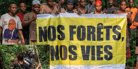 Lokoma, Penzélé, Mbandaka : immersion écologique et culturelle avec Greenpeace Afrique au cœur du Bassin du Congo et les peuples autochtones