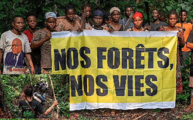 Lokoma, Penzélé, Mbandaka : immersion écologique et culturelle avec Greenpeace Afrique au cœur du Bassin du Congo et les peuples autochtones