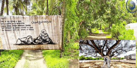 Lieu de déportation de Khadimoul Rassoul face aux animaux sauvages : la seconde vie de “Toolu Buur” Saint-Louis-, devenu un lieu de mémoire