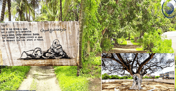 Lieu de déportation de Khadimoul Rassoul face aux animaux sauvages : la seconde vie de “Toolu Buur” Saint-Louis-, devenu un lieu de mémoire