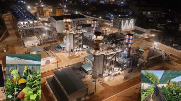 Innovation et essor : Çalık Enerji tonifie la transformation énergétique et le développement local au Sénégal