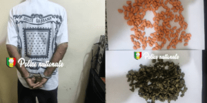Ziguinchor : un trafiquant d’ecstasy interpellé avec 194 comprimés et du Skunk dissimulés dans des pots de café