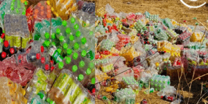 Boissons impropres à la consommation : alerte sanitaire à la périphérie de Diourbel, un dépôt clandestin de boissons périmées découvert en pleine nature