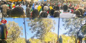 Réception officielle des Lions :  Une marée humaine aux abords du palais de la République –(APS)