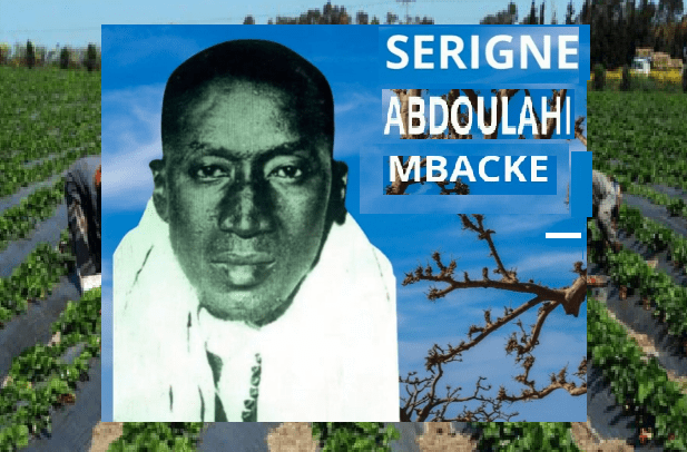 Magal de Serigne Abdoulahi Mbacké Borom Deurbi : l’héritage spirituel et agricole magnifié à Touba