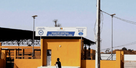 Marché Central Au Poisson De Thiès : La Mémoire Des Faits, La Continuité De L&rsquo;Etat  Par Talla Sylla