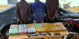 Plan national antidrogue : trois individus arrêtés, 14 kg de chanvre indien saisis à Aéré Lao