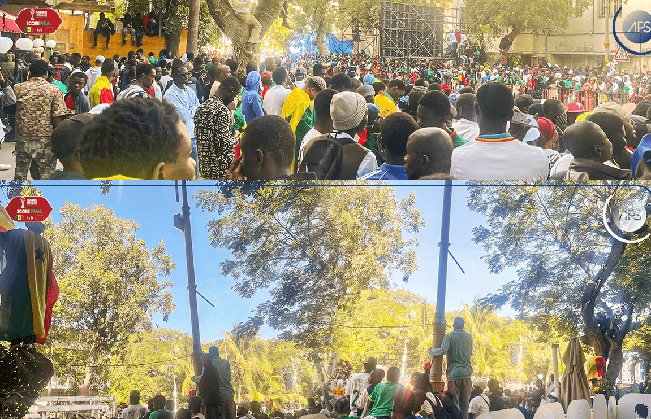 Réception officielle des Lions :  Une marée humaine aux abords du palais de la République –(APS)