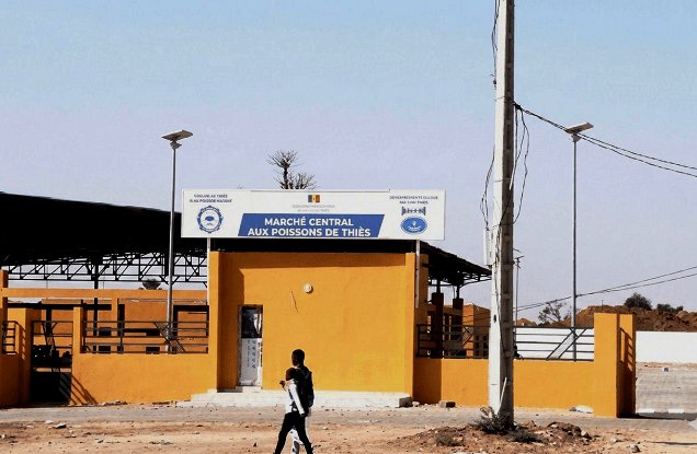 Marché Central Au Poisson De Thiès : La Mémoire Des Faits, La Continuité De L&rsquo;Etat  Par Talla Sylla