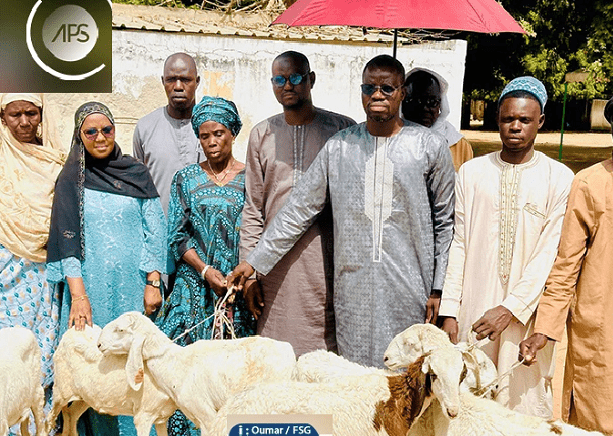 Tocky Gare : 50 brebis confiées à des groupements féminins pour renforcer l’autosuffisance en moutons