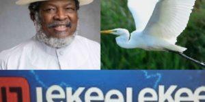 Lekeelekee, Héron garde-bœufs : Obaigbena, entrepreneur nigérian des médias, lance une plateforme numérique révolutionnaire