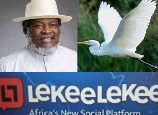 Lekeelekee, Héron garde-bœufs : Obaigbena, entrepreneur nigérian des médias, lance une plateforme numérique révolutionnaire