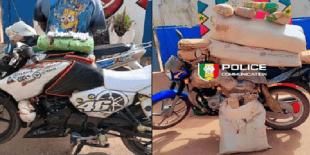 Coup de filets à Kolda : 44,1 kg de chanvre indien saisis lors de deux opérations policières